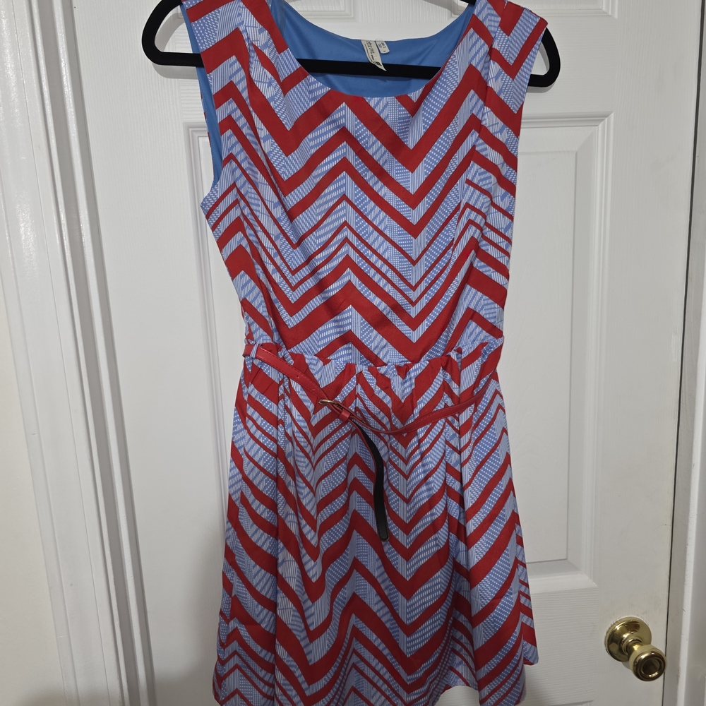 Pink Owl Red and Blue Chevron Mini Dress